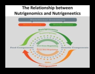 Uyumlu Genler: Nutrigenomik Bilimini Keşfetmek