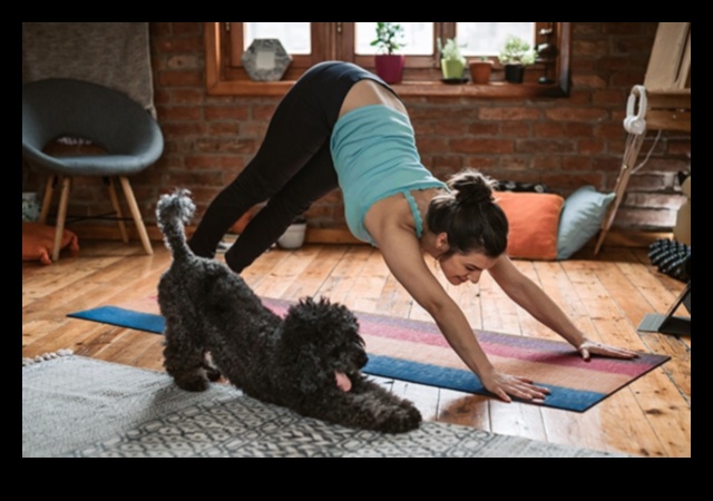 Köpek Kardiyo: Eğlenceli Egzersizlerle Köpeğinizi Formda Tutmak