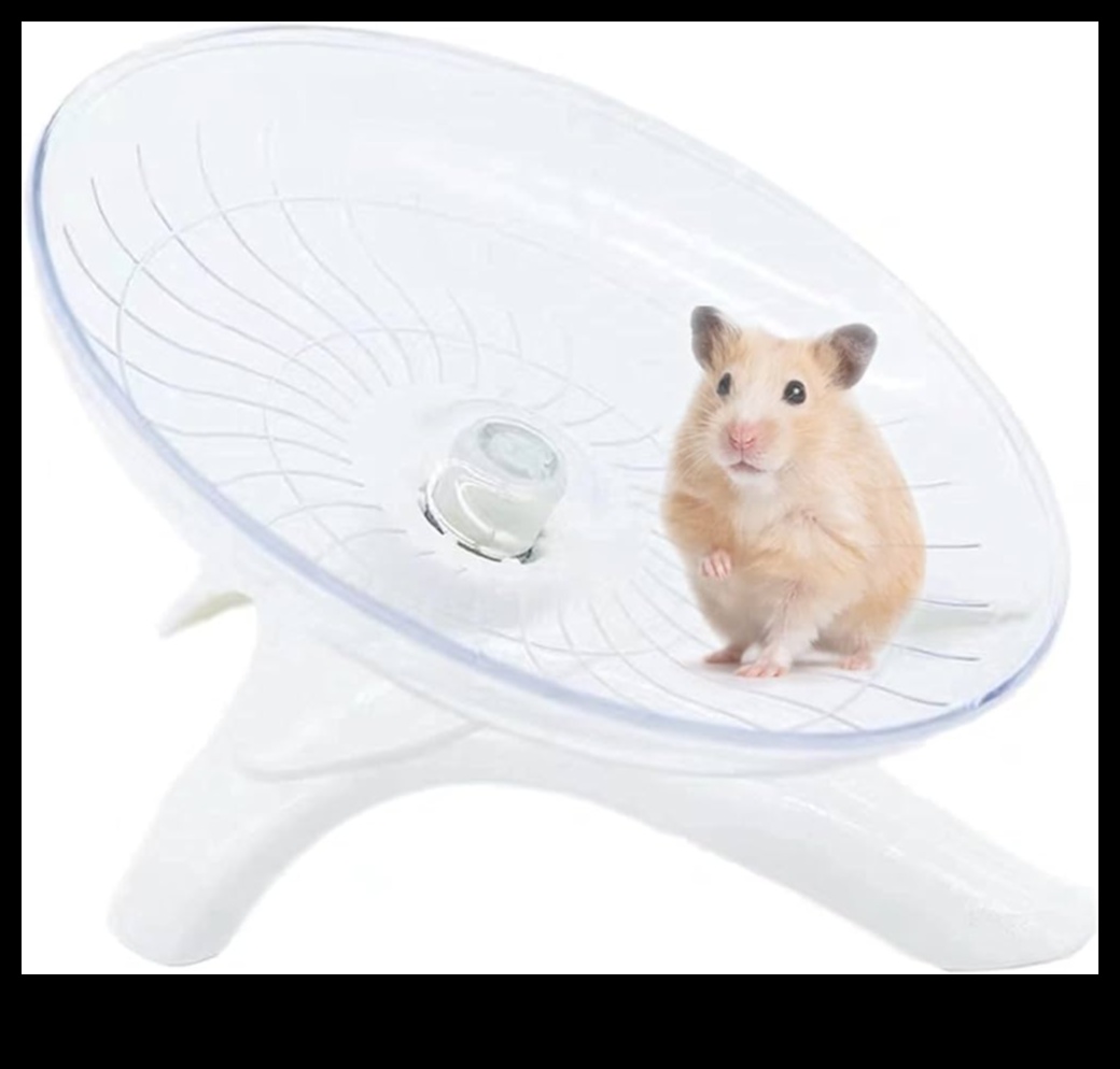 Hamster Wheel Whirlwind: Aktif Hamsterlar için Döndürme Eğlencesi