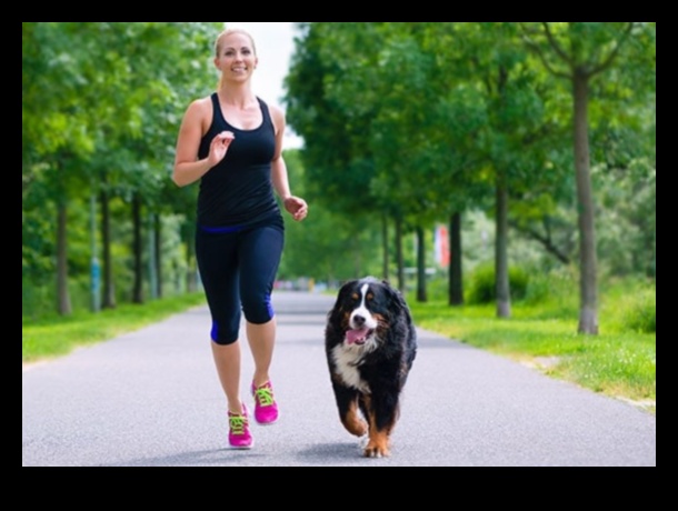 Köpek Kardiyosu Eğlenceli Egzersizlerle Köpeğinizi Formda Tutuyor