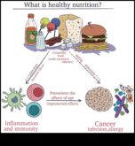 Optimal Beslenme Makrobesin mükemmelliğinin ABC’leri